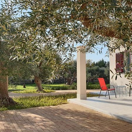 Tra Gli Ulivi Βίλα Putignano Εξωτερικό φωτογραφία
