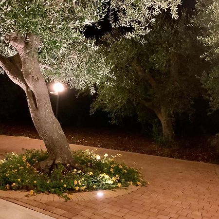 Tra Gli Ulivi Βίλα Putignano Εξωτερικό φωτογραφία
